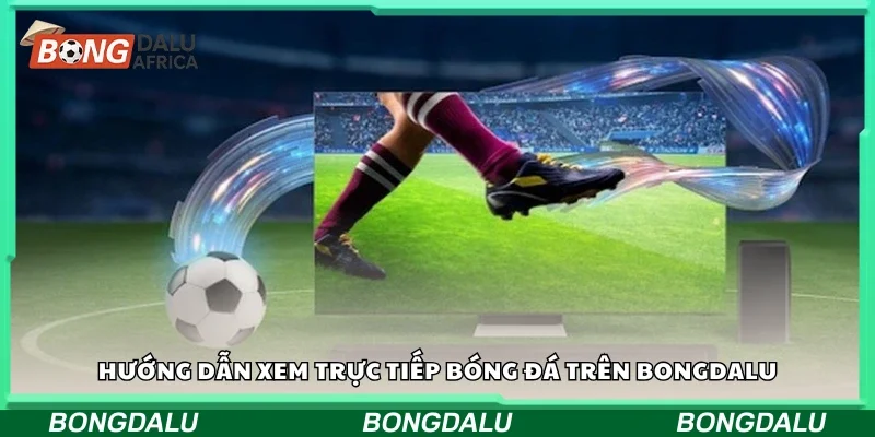 Cách xem trực tiếp bóng đá trên Bongdalu
