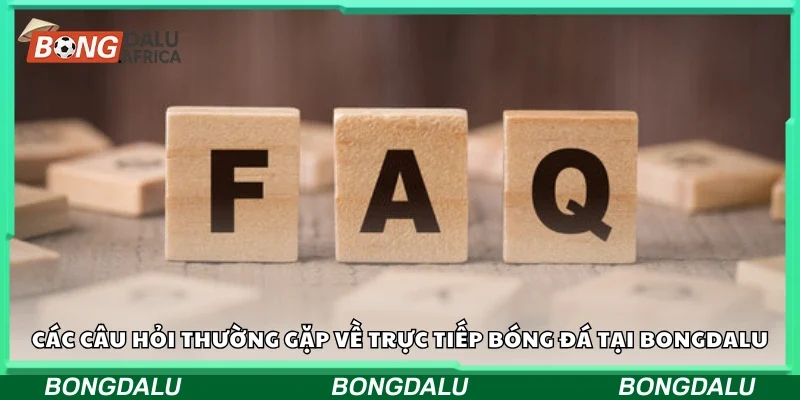 Một số câu hỏi thường gặp về trực tiếp bóng đá tại Bongdalu