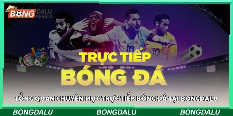 Tổng quan chuyên mục trực tiếp bóng đá tại Bongdalu